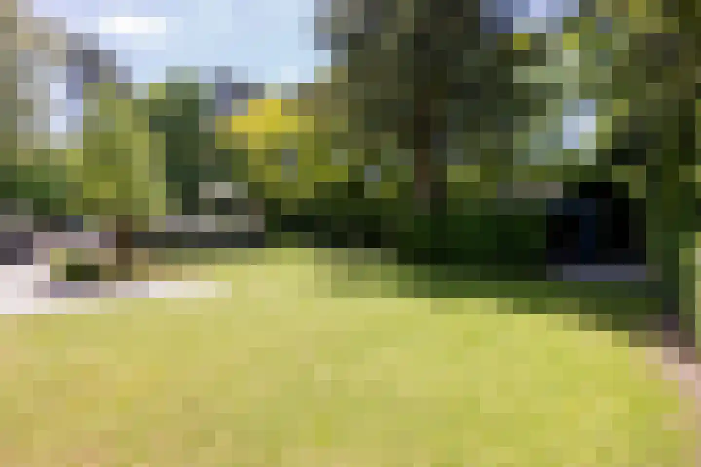 Hoge Duinlaan 26 Waalre thumbnail 30