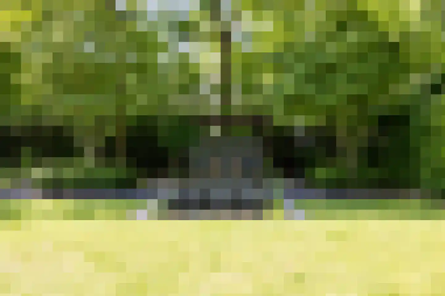 Hoge Duinlaan 26 Waalre thumbnail 31