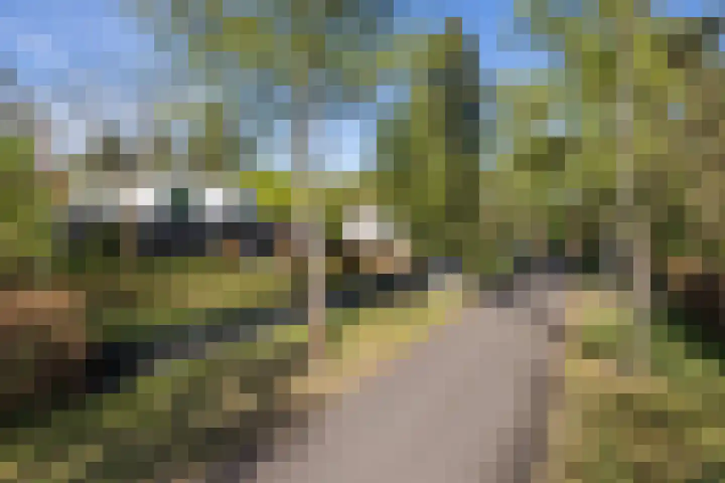 Hoge Duinlaan 26 Waalre thumbnail 36