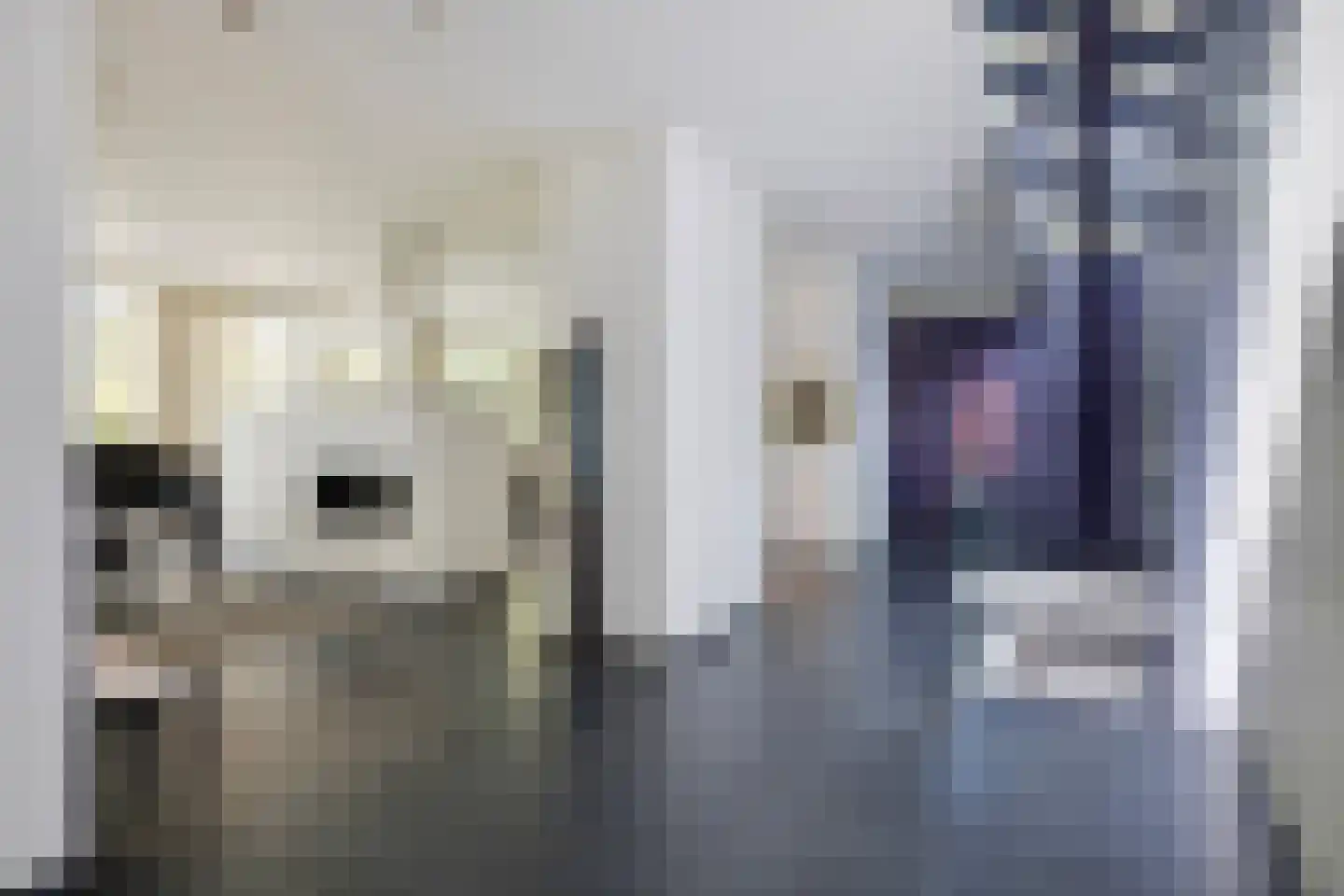 Hoge Duinlaan 26 Waalre thumbnail 8