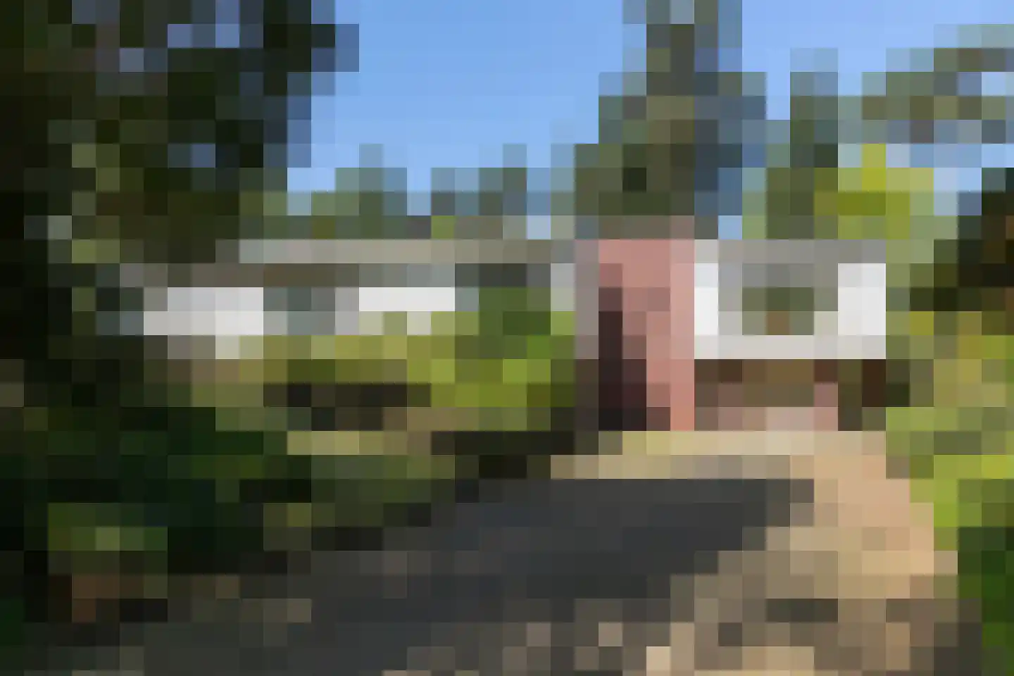 Hoge Duinlaan 32 dans Waalre