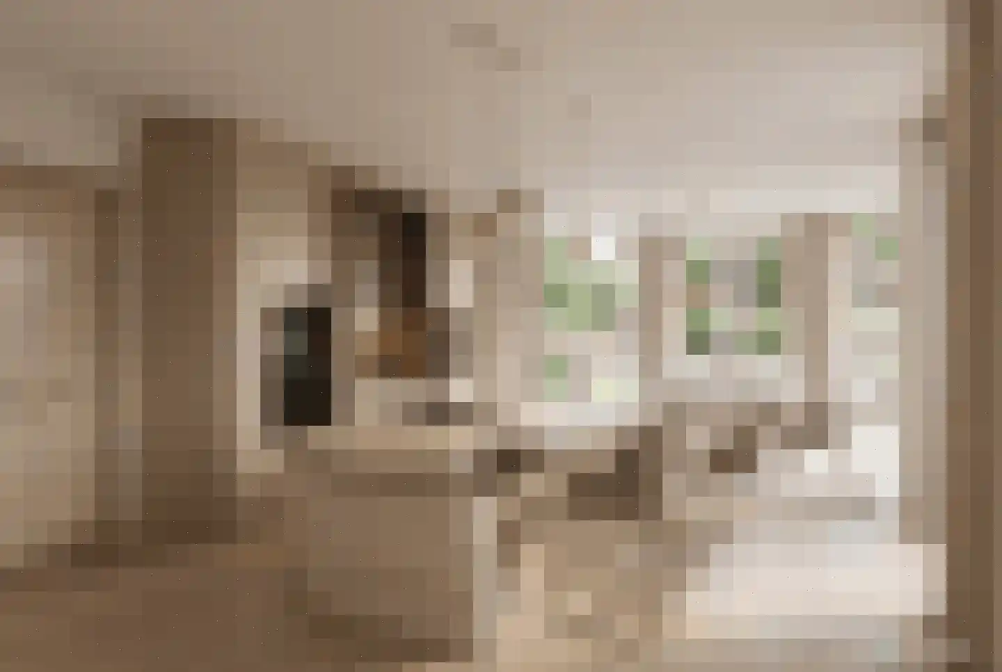 Hoge Duinlaan 32 Waalre thumbnail 10