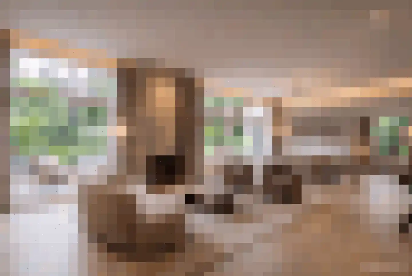 Hoge Duinlaan 32 Waalre thumbnail 15