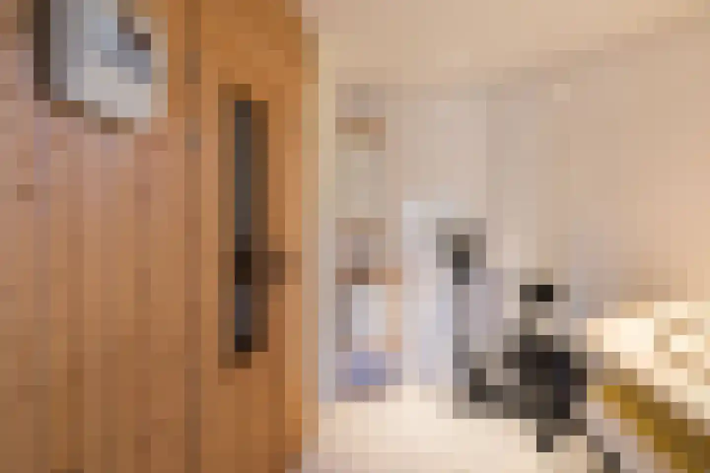 Hoge Duinlaan 32 Waalre thumbnail 19
