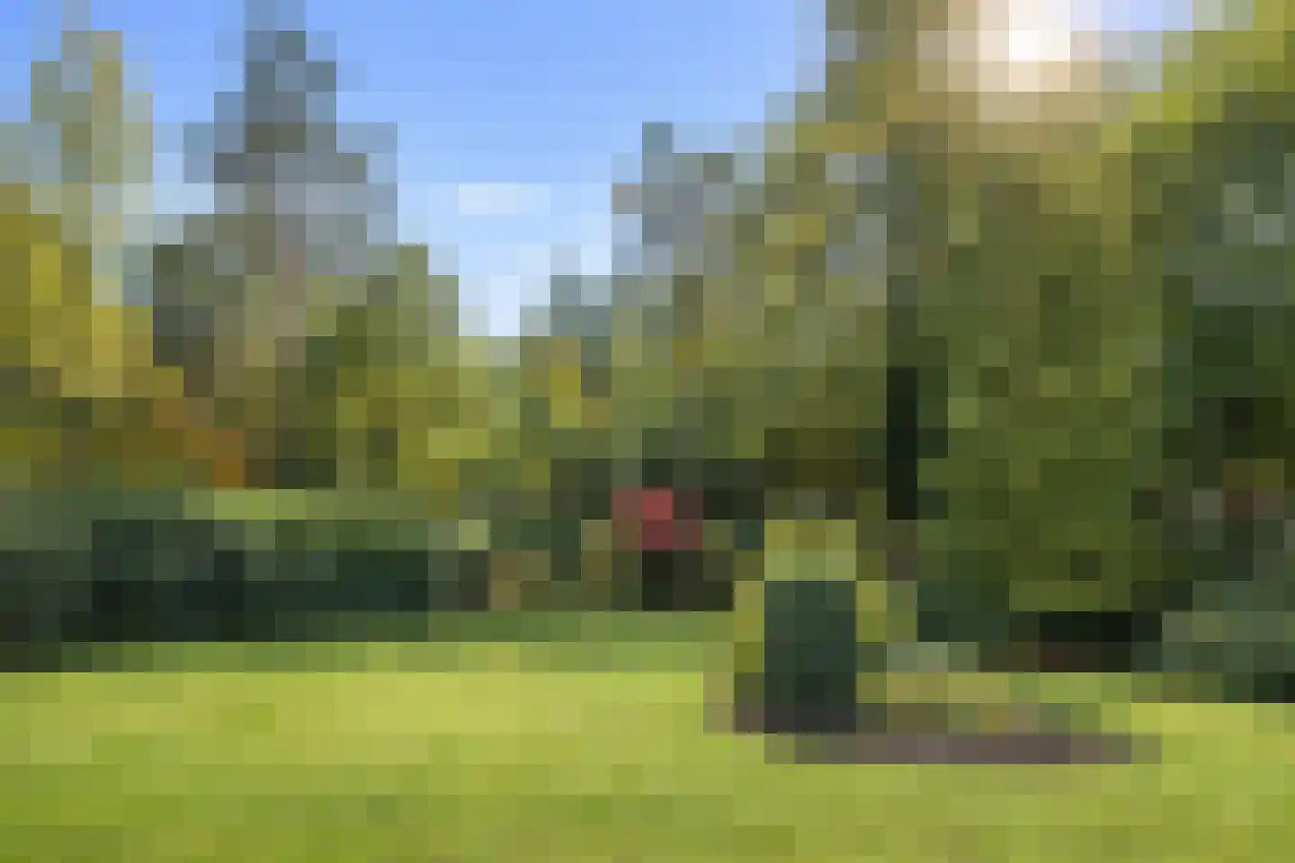 Hoge Duinlaan 32 Waalre thumbnail 22
