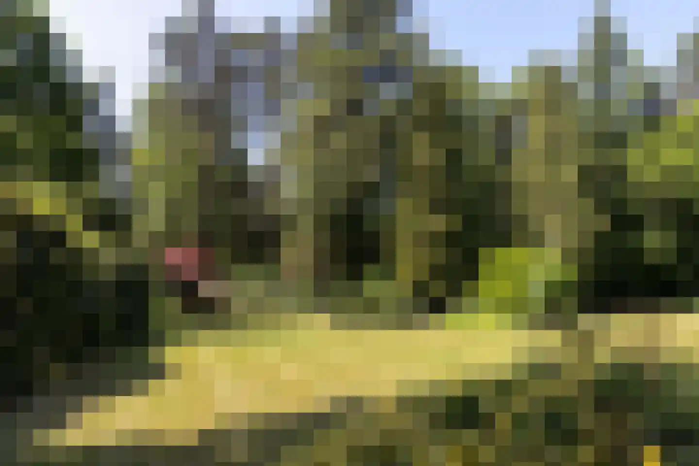 Hoge Duinlaan 32 Waalre thumbnail 24