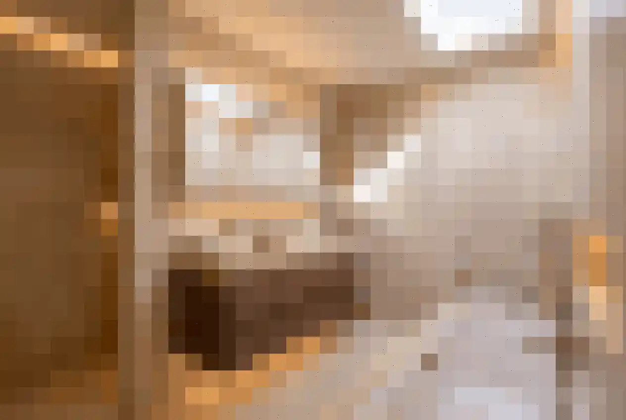 Hoge Duinlaan 32 Waalre thumbnail 24