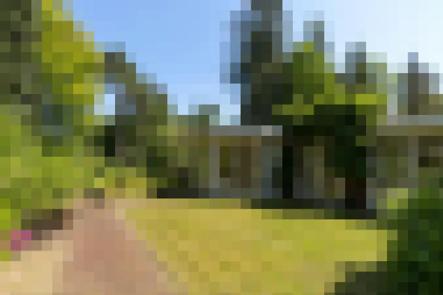 Hoge Duinlaan 32 Waalre thumbnail 27