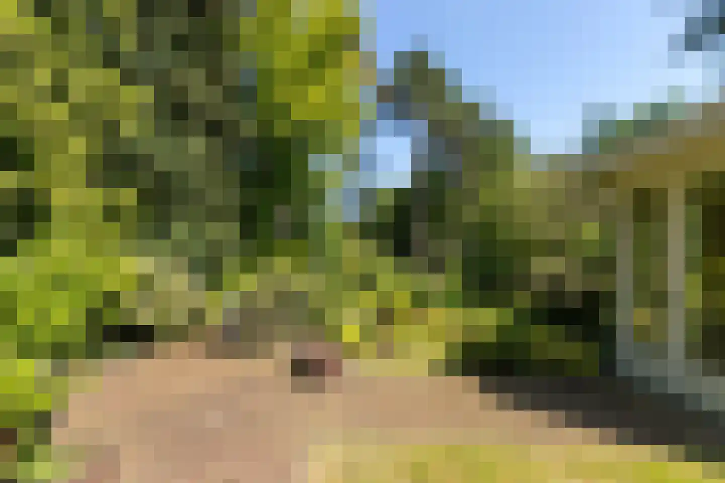 Hoge Duinlaan 32 Waalre thumbnail 28