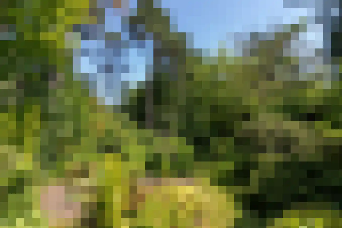Hoge Duinlaan 32 Waalre thumbnail 29