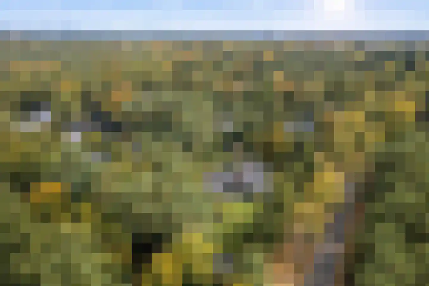 Hoge Duinlaan 32 Waalre foto 3
