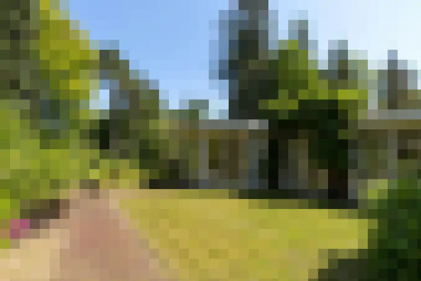 Hoge Duinlaan 32 Waalre thumbnail 31