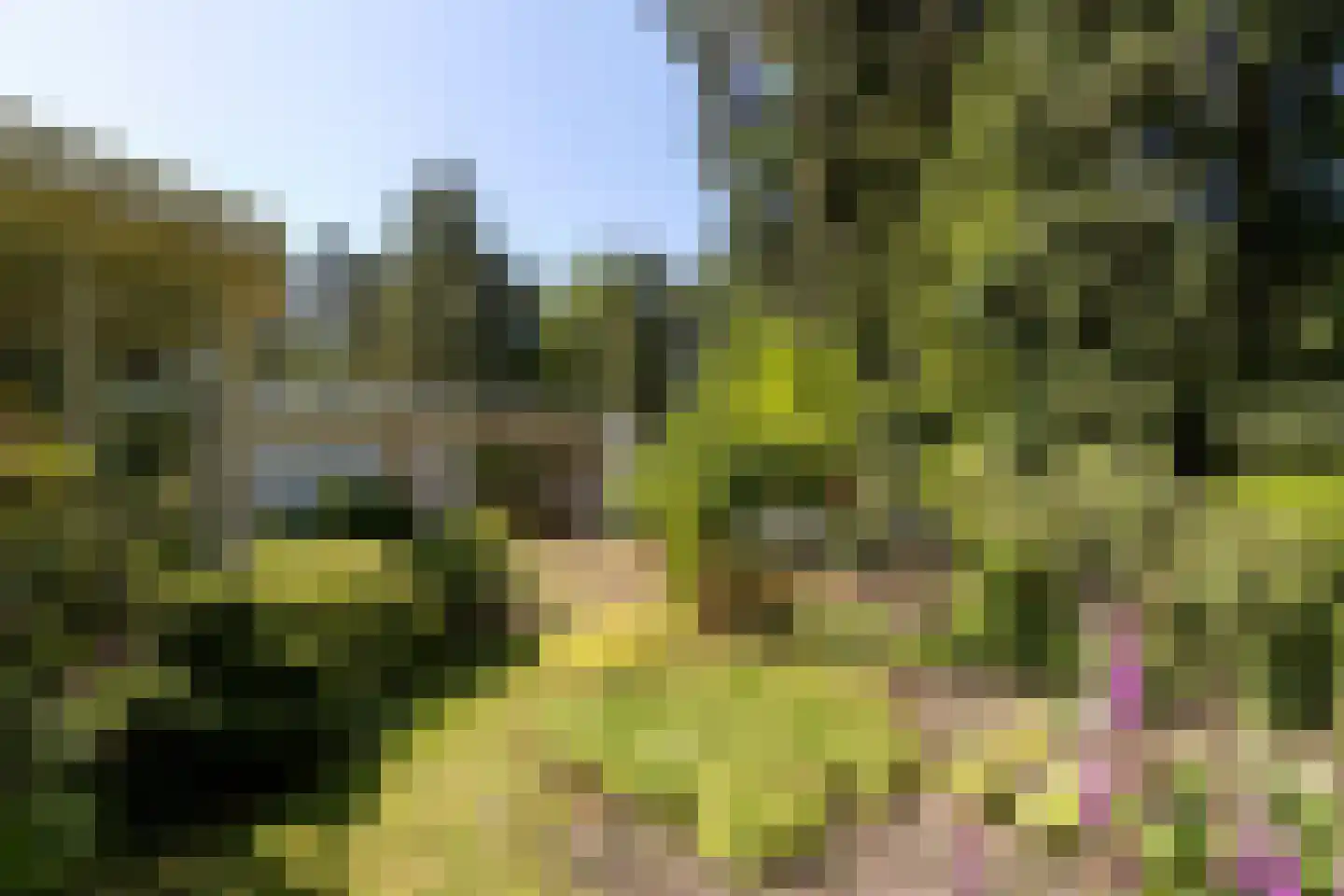 Hoge Duinlaan 32 Waalre thumbnail 31