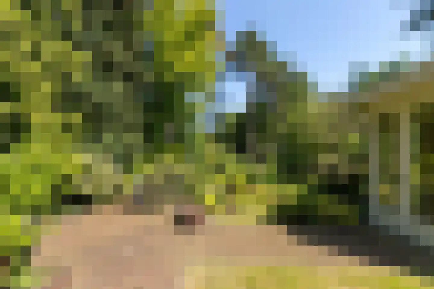Hoge Duinlaan 32 Waalre thumbnail 32