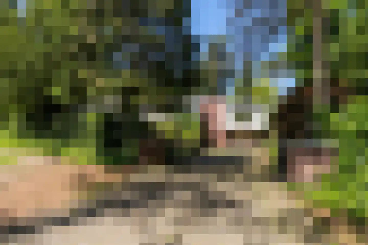Hoge Duinlaan 32 Waalre thumbnail 32
