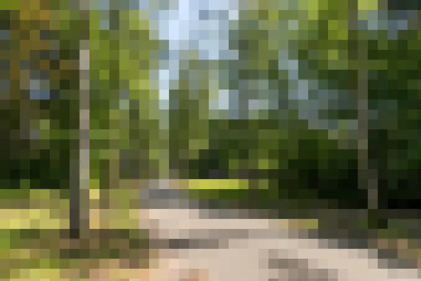 Hoge Duinlaan 32 Waalre thumbnail 33