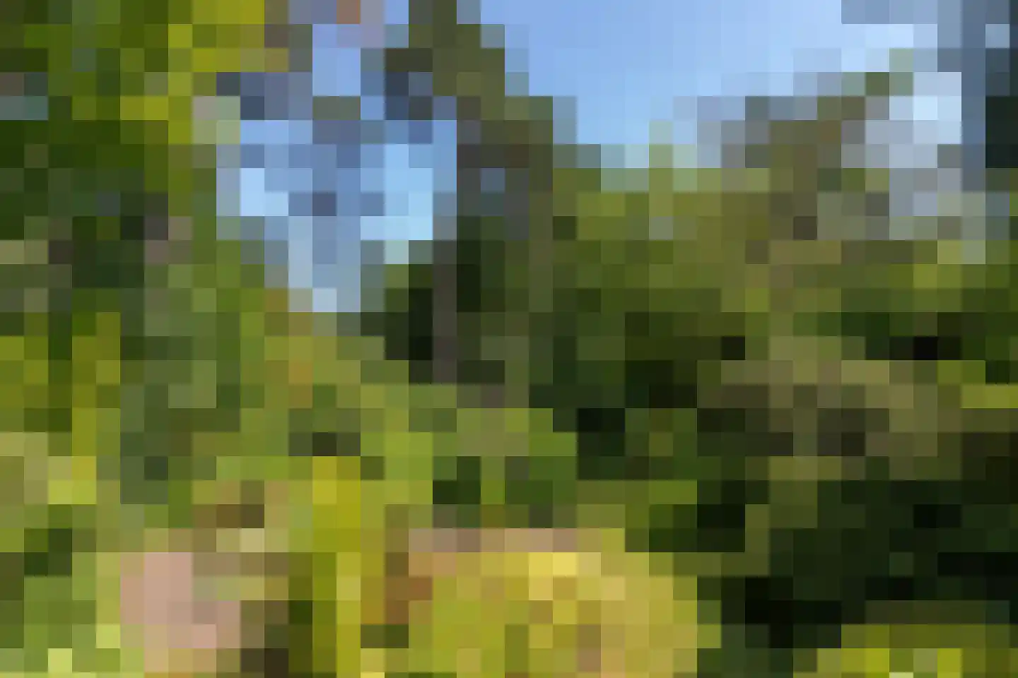 Hoge Duinlaan 32 Waalre thumbnail 33