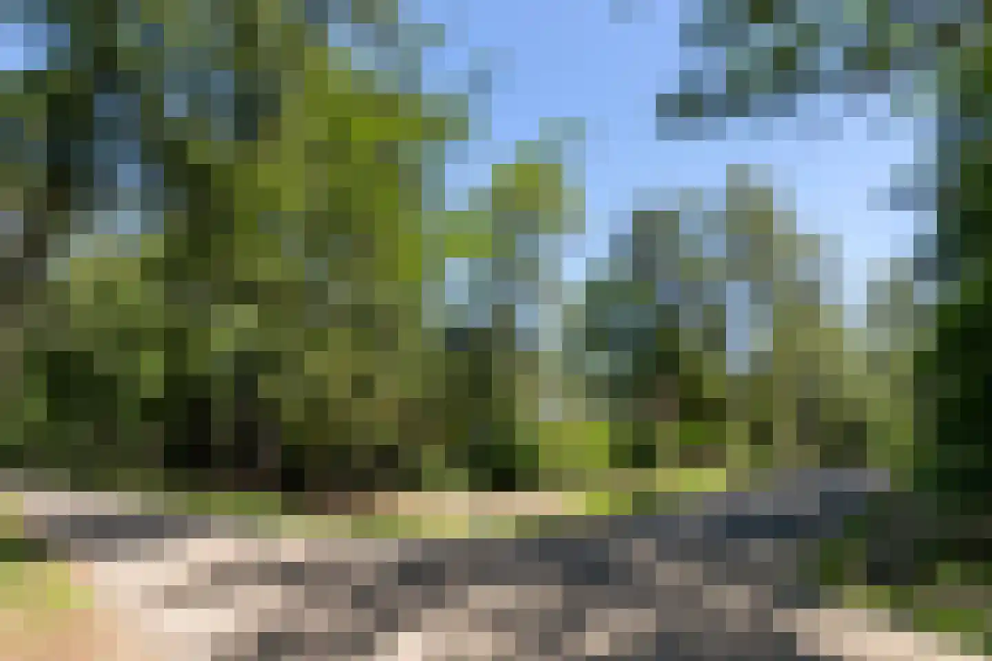 Hoge Duinlaan 32 Waalre thumbnail 34