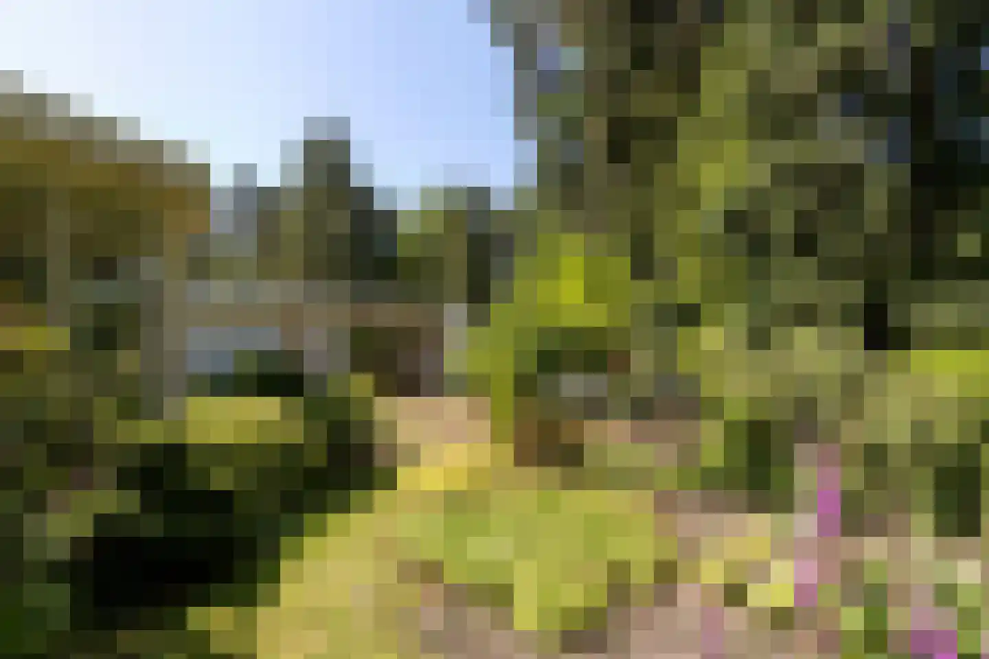 Hoge Duinlaan 32 Waalre thumbnail 35