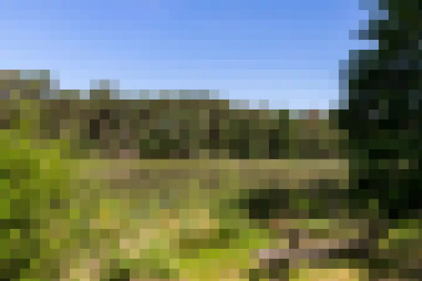 Hoge Duinlaan 32 Waalre thumbnail 36