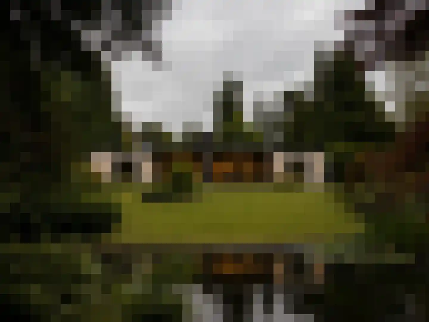 Hoge Duinlaan 32 Waalre thumbnail 4