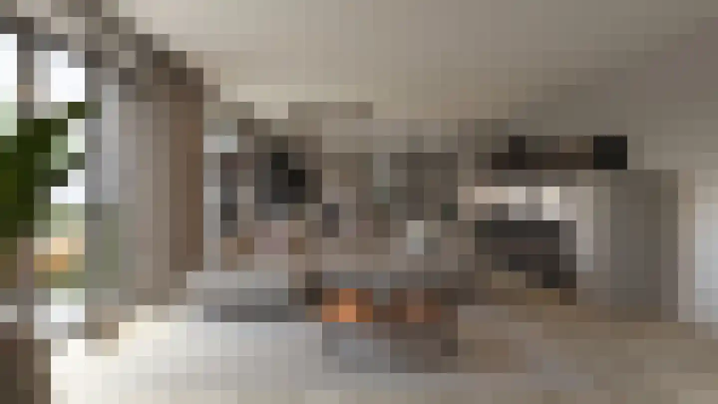 Hoge Enghof 2 Bunnik thumbnail 10