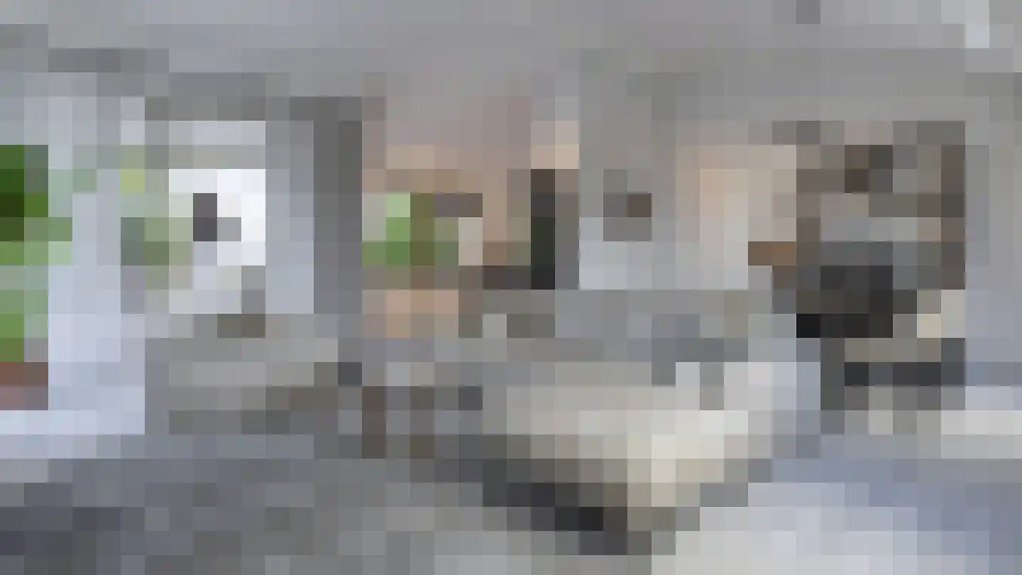 Hoge Enghof 2 Bunnik thumbnail 18