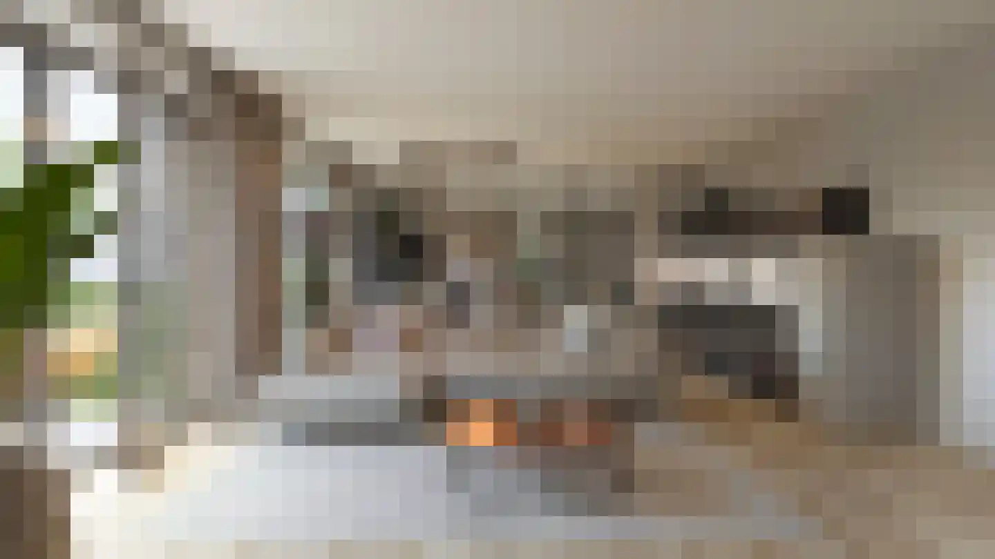 Hoge Enghof 2 Bunnik thumbnail 20