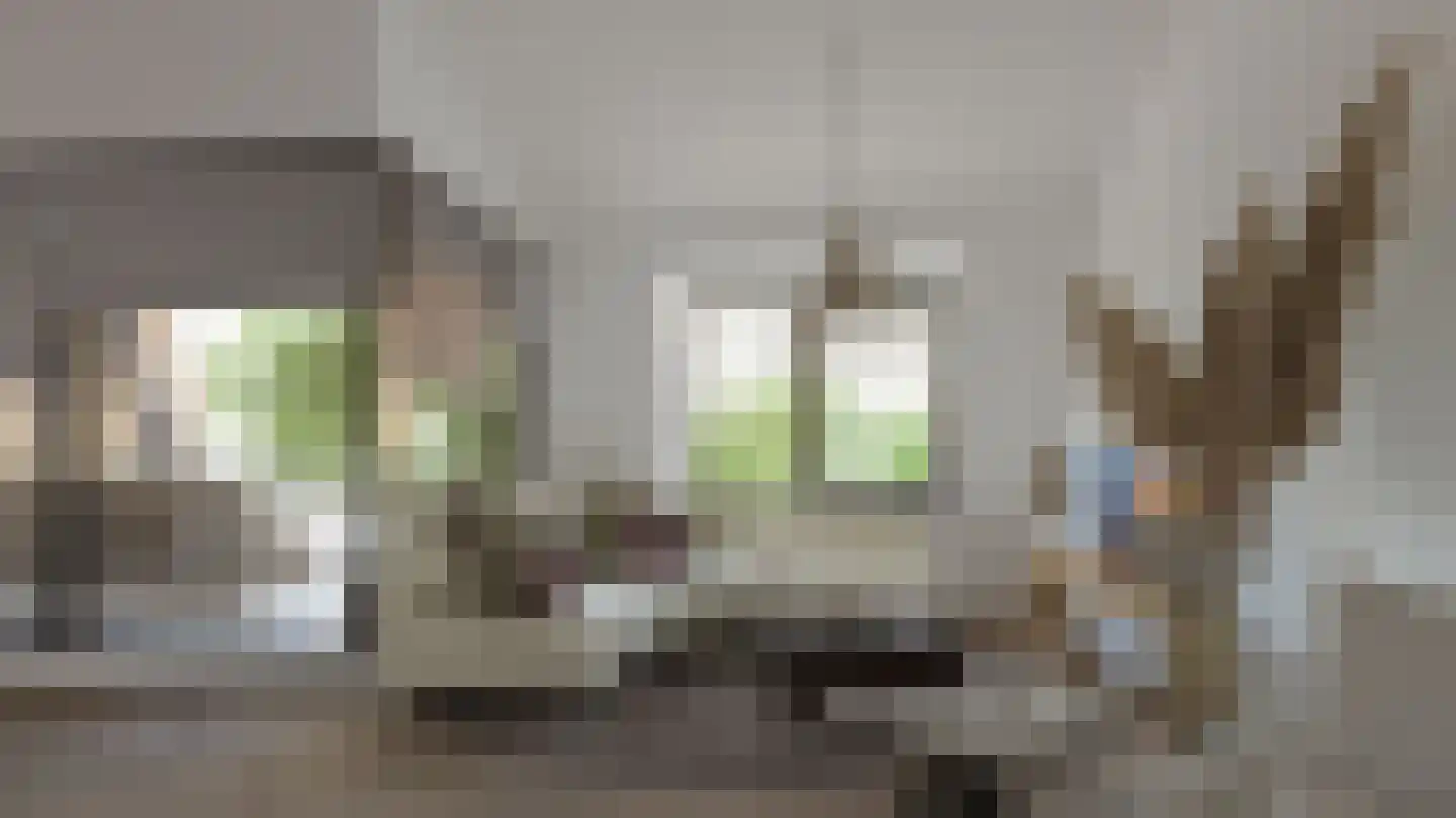 Hoge Enghof 2 Bunnik thumbnail 7