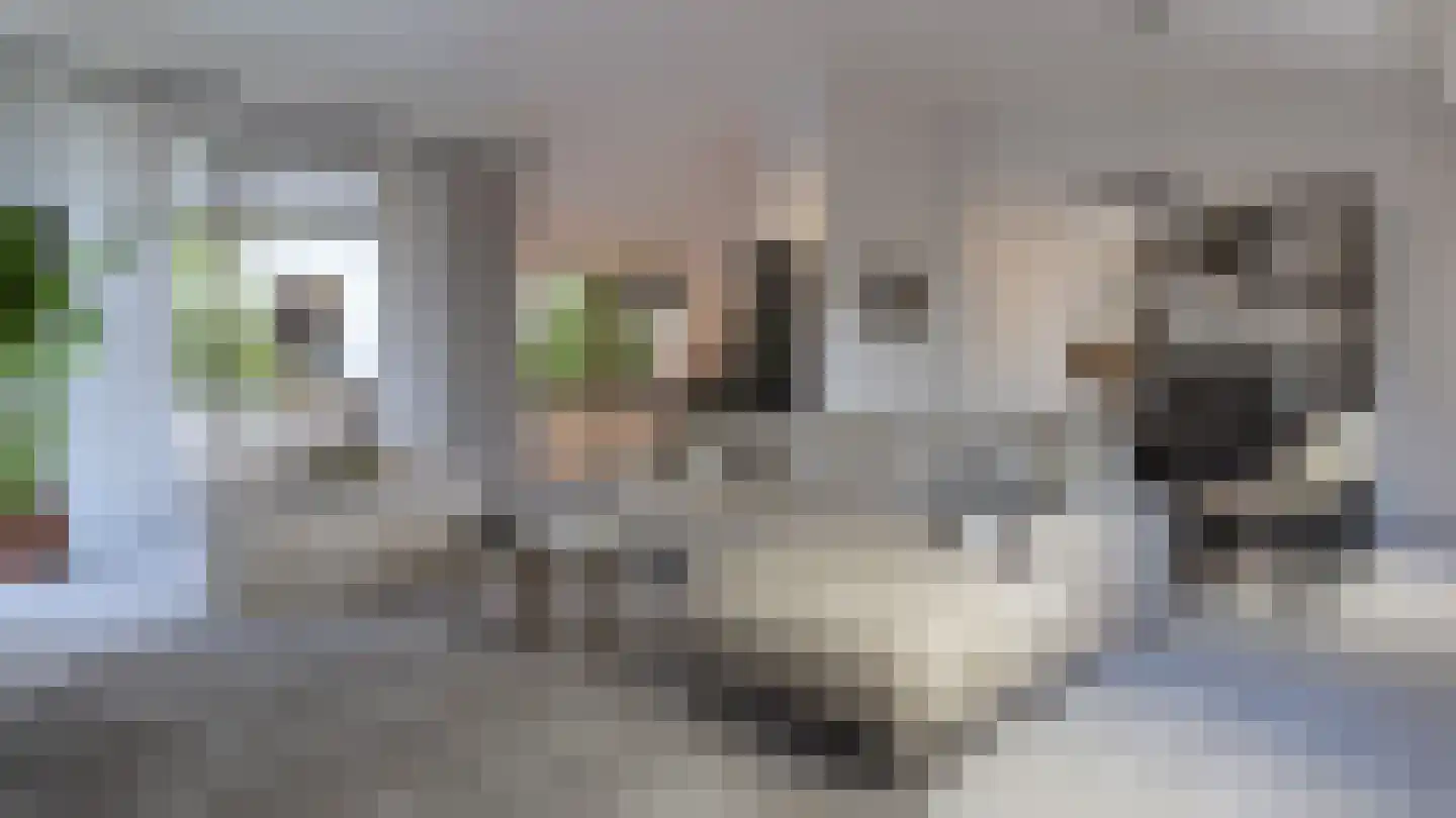 Hoge Enghof 2 Bunnik thumbnail 8