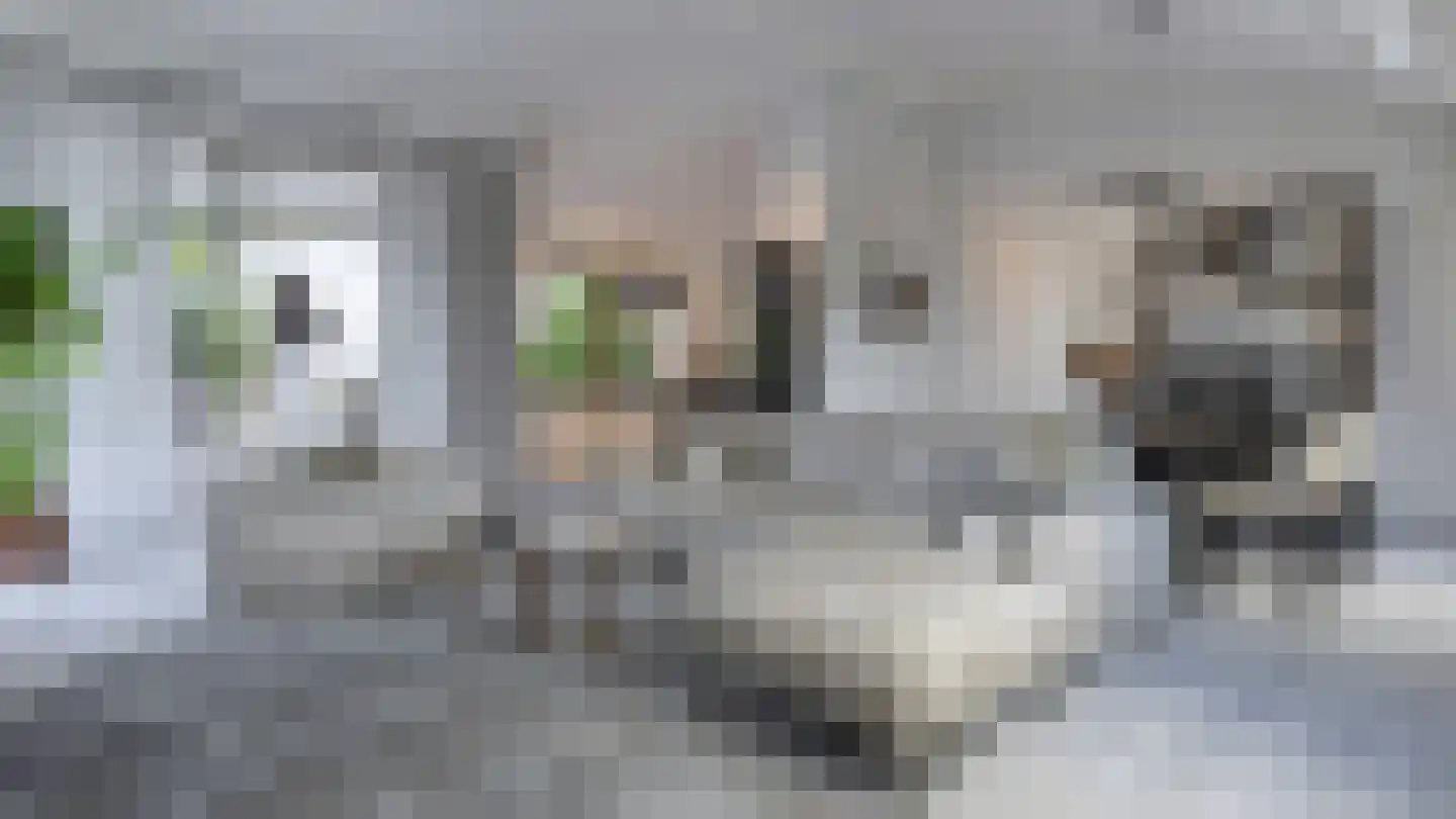 Hoge Enghof 6 Bunnik thumbnail 18