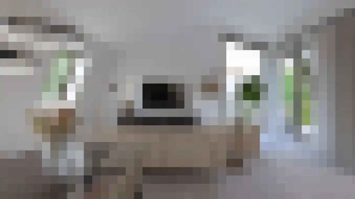 Hoge Enghof 6 Bunnik thumbnail 9