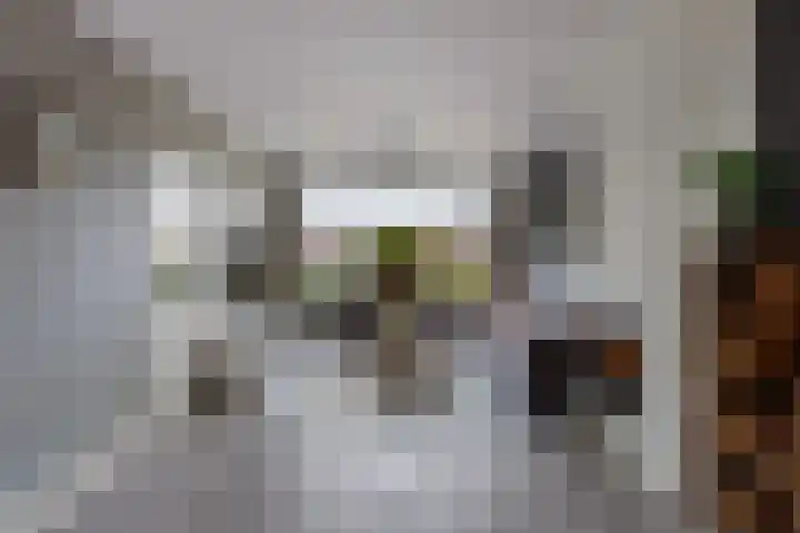 Hoge Enk 27 Ermelo thumbnail 10