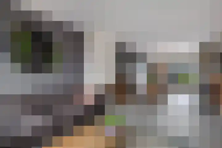 Hoge Enk 27 Ermelo thumbnail 11