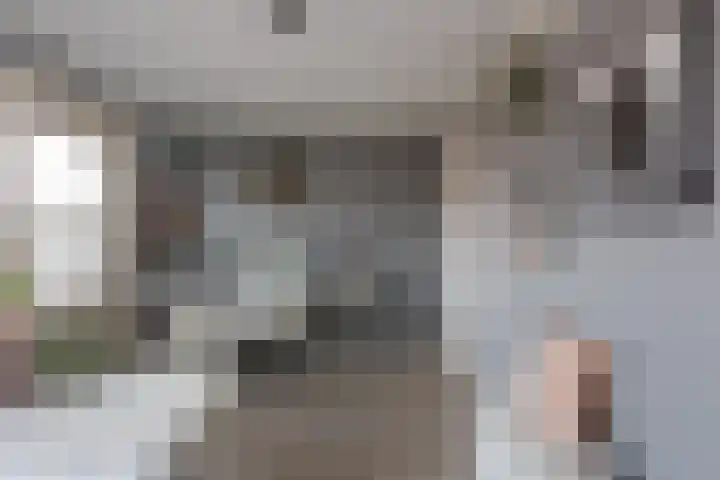 Hoge Enk 27 Ermelo thumbnail 21