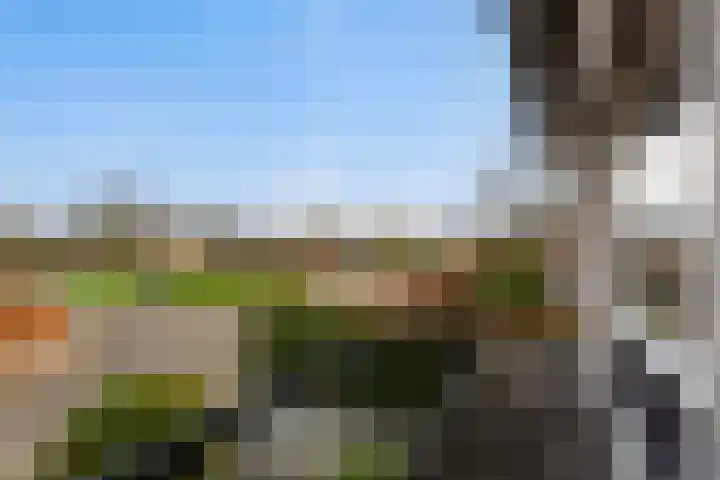 Hoge Enk 27 Ermelo thumbnail 24