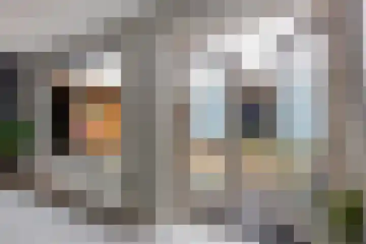 Hoge Enk 27 Ermelo thumbnail 35