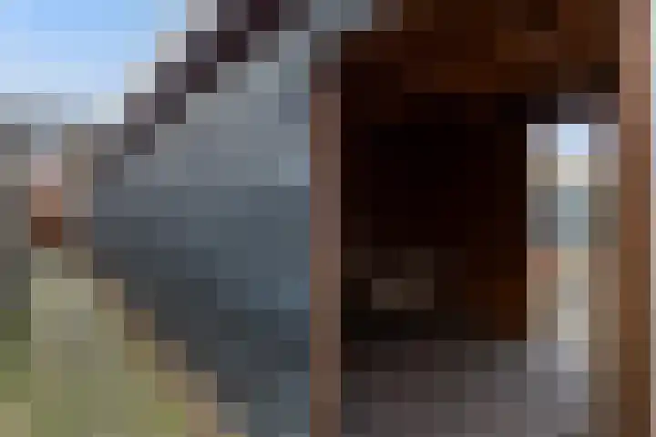 Hoge Enk 27 Ermelo thumbnail 45