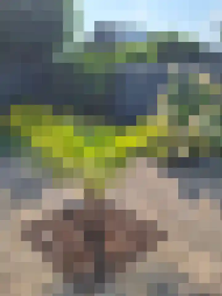 Hoge Enk 27 Ermelo thumbnail 46