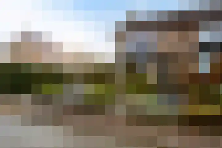 Hoge Enk 27 Ermelo thumbnail 52