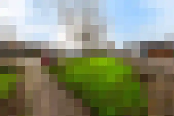 Hoge Enk 27 Ermelo thumbnail 54