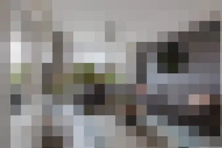 Hoge Enk 27 Ermelo thumbnail 9