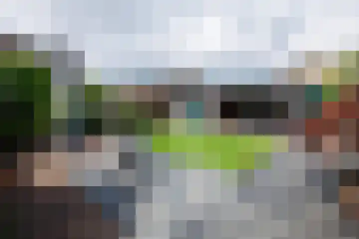 Hoge Es 12 Hengelo (Gld) thumbnail 15