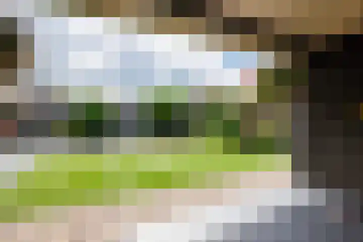 Hoge Es 12 Hengelo (Gld) thumbnail 17