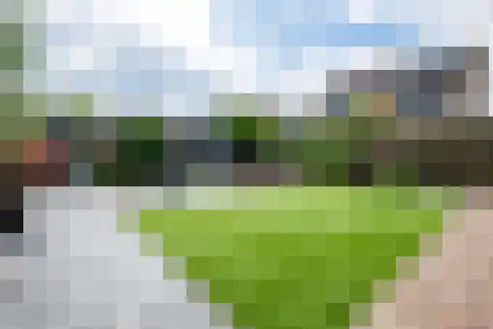 Hoge Es 12 Hengelo (Gld) thumbnail 18