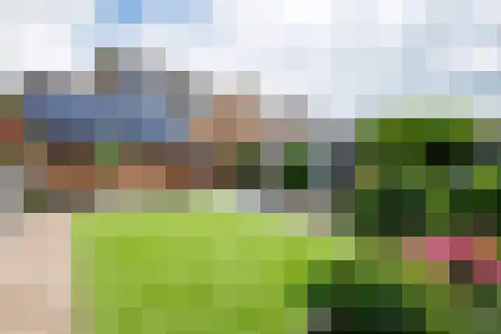 Hoge Es 12 Hengelo (Gld) thumbnail 19