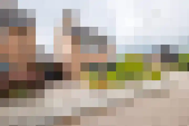 Hoge Es 12 Hengelo (Gld) thumbnail 20