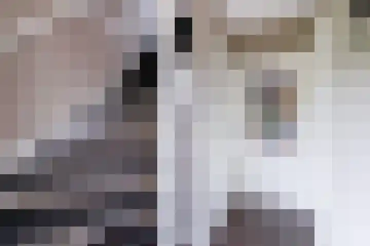 Hoge Es 12 Hengelo (Gld) thumbnail 24
