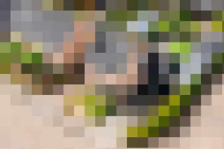 Hoge Es 12 Hengelo (Gld) thumbnail 41