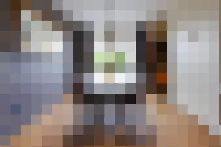 Hoge Es 12 Hengelo (Gld) thumbnail 6